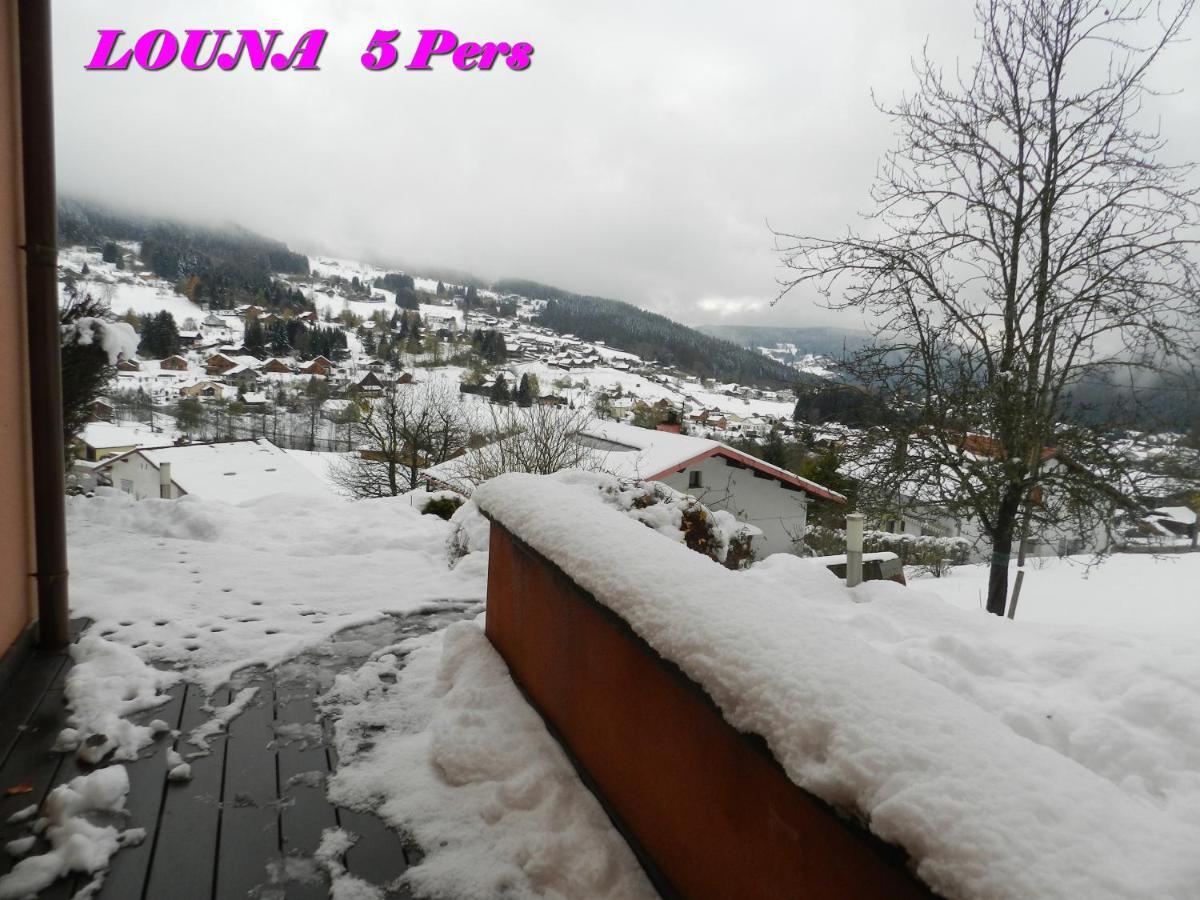 Appartements 5 Personnes Maya Et Louna Xonrupt-Longemer Exterior photo